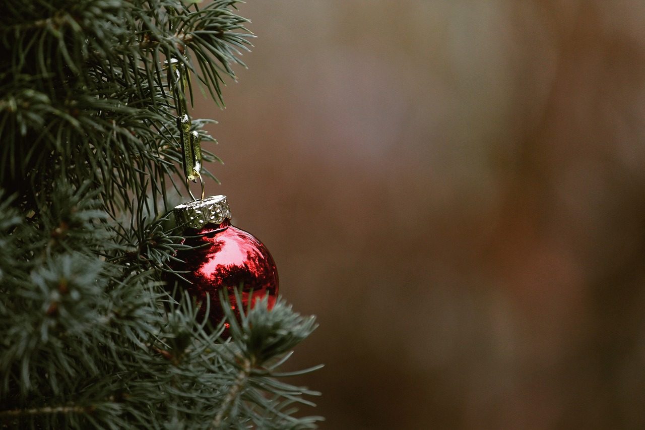 christmas, tree, fir tree-4704703.jpg